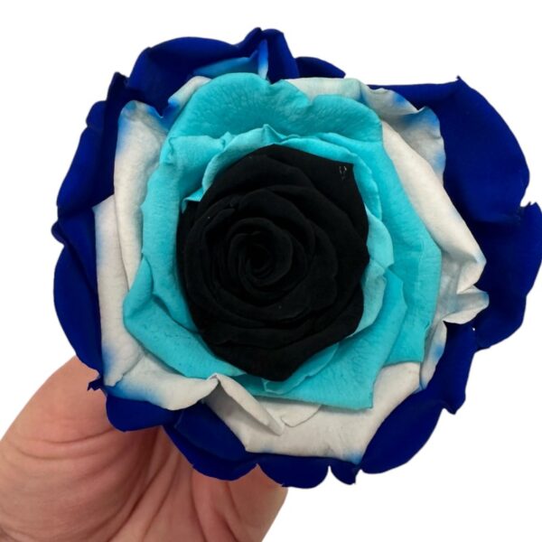 Preserved roses evil eye Roseamor