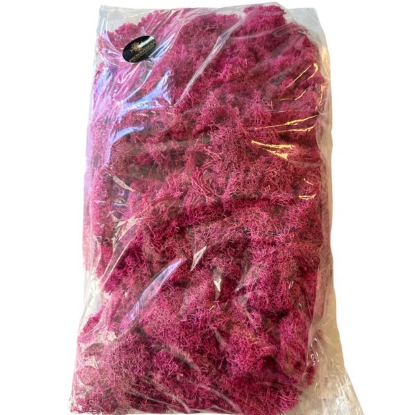 Preserved bag Finlandes moss fuchsia - Image 5