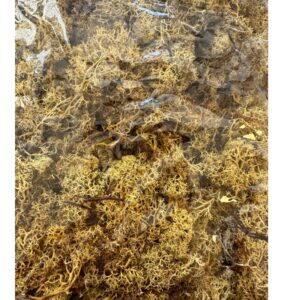 Preserved bag Finlandes moss ochre