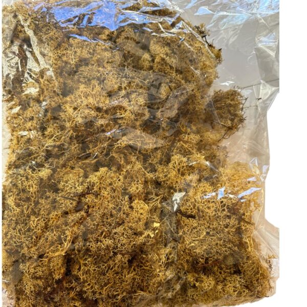 Preserved bag Finlandes moss ochre - Image 4