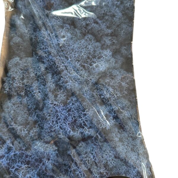 Preserved Box Finlandes moss blue - Image 4