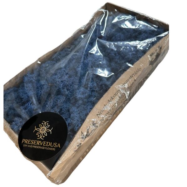 Preserved Box Finlandes moss blue - Image 3
