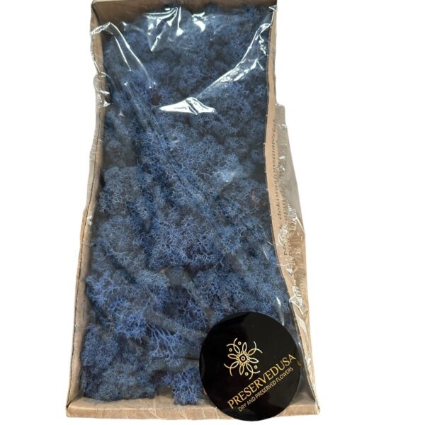 Preserved Box Finlandes moss blue