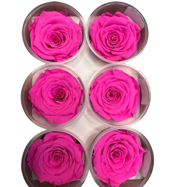 Preserved roses fuchsia - Image 2