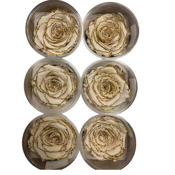 Preserved glitter roses white/gold - Image 2
