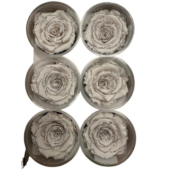 Preserved roses glitter silver/white - Image 2