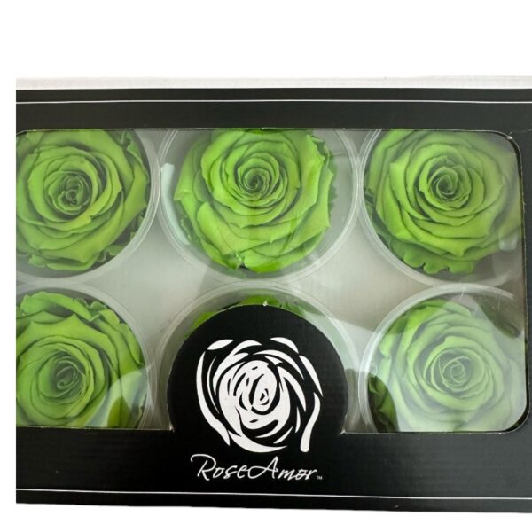 Preserved roses green - Image 3