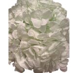 Preserved Hydrangea green 89