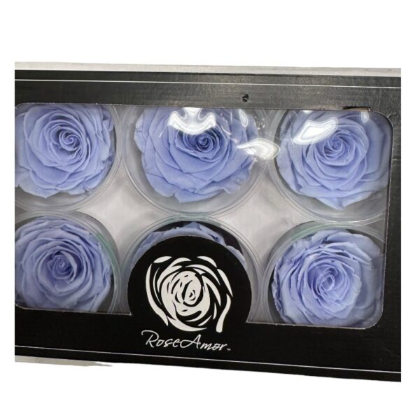 Preserved light violet roses - Image 3