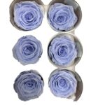 Preserved light violet roses - Image 2