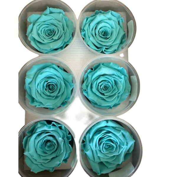 Preserved roses mint blue - Image 2