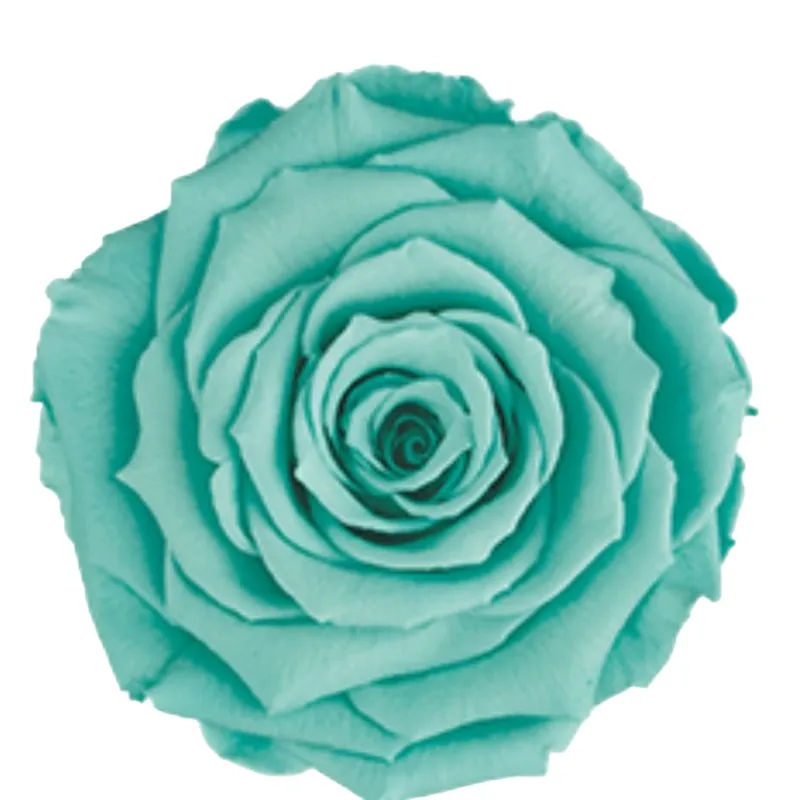 Preserved roses mint blue Roseamor