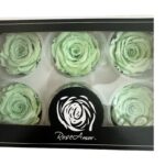Preserved roses mint green - Image 3