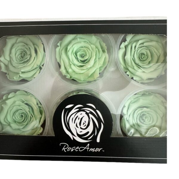 Preserved roses mint green - Image 3