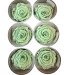 Preserved roses mint green - Image 2