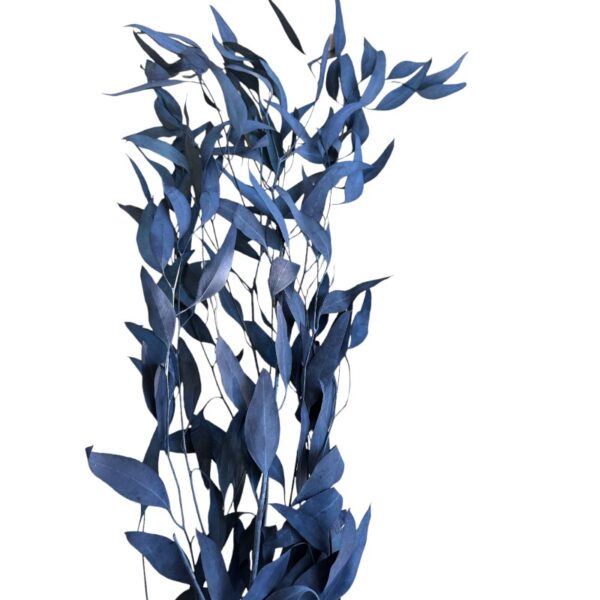 Preservado black nicholii eucalyptus - Image 2