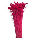 Dry fuchsia Amarelino - Image 2