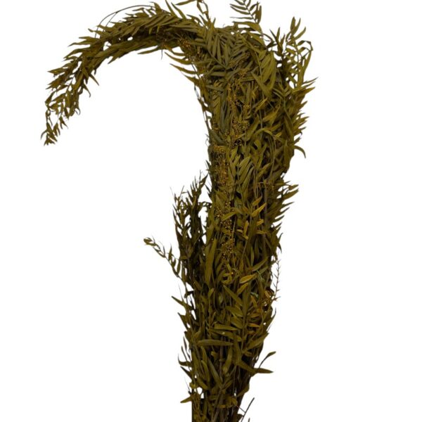 Preserved yellow false pepper - Image 2