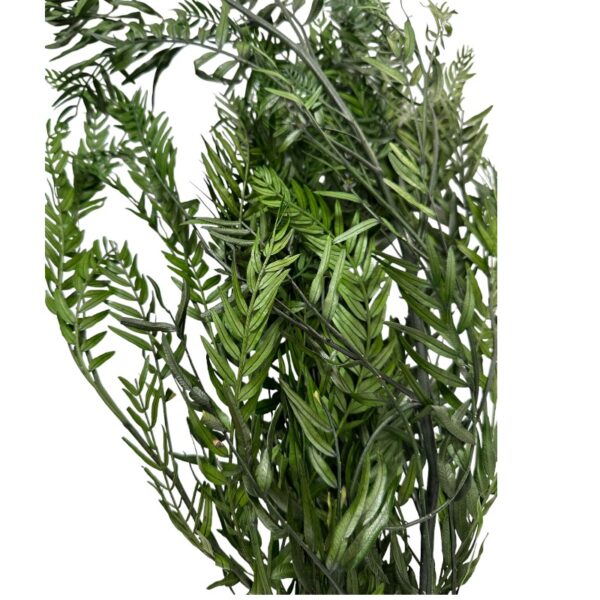 Preserved green false pepper