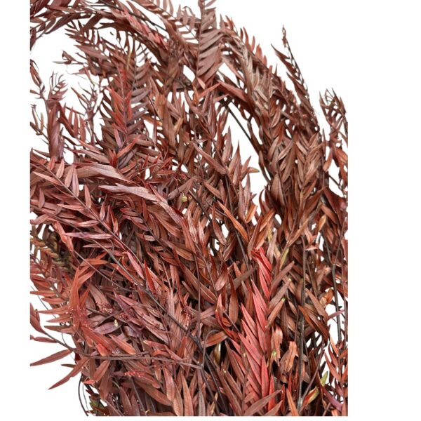 Preserved red false pepper