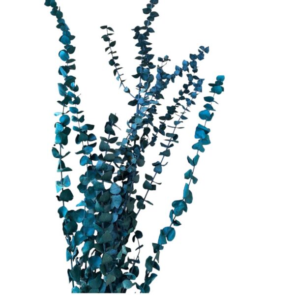 Preserved true green color baby blue eucalyptus - Image 2