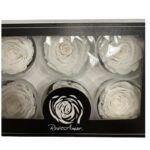Preserved roses pure white - Image 3