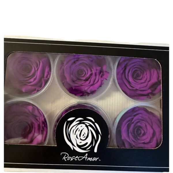 Preserved roses purple - Image 3