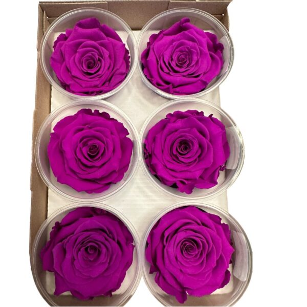 Preserved roses purple - Image 2