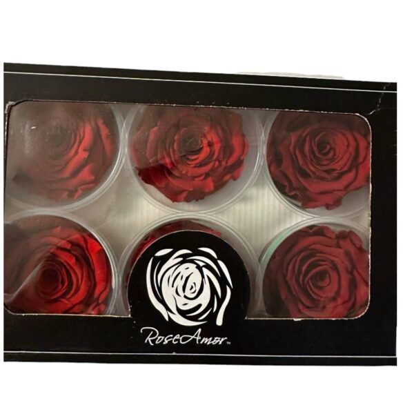 Preserved roses red - Image 2
