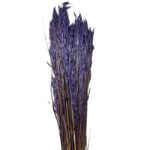 Dry lilac sativa oat - Image 2