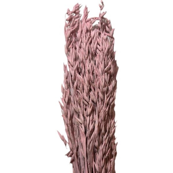Dry misty light pink oat - Image 2