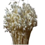 Dry briza Max white