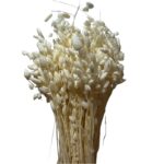 Dry briza Max white - Image 2