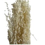 Dry white MINI briza