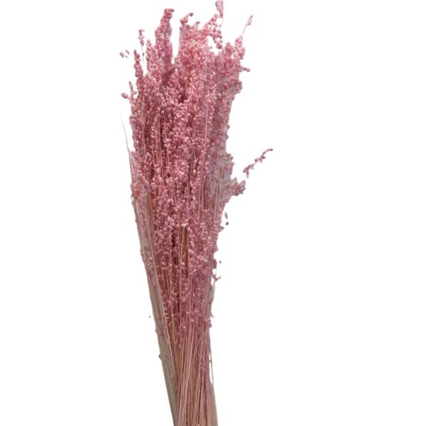 Dry pink MINI briza - Image 2