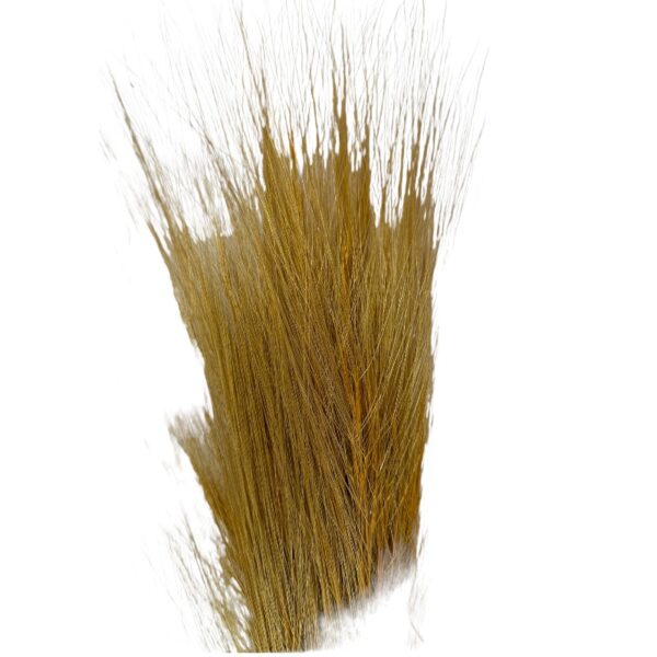 Dry yellow barba