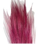 Dry fuchsia barba