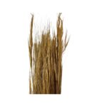 Dry brown barba - Image 2