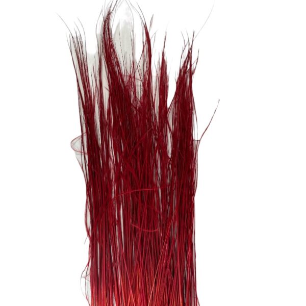 Dry red barba - Image 2