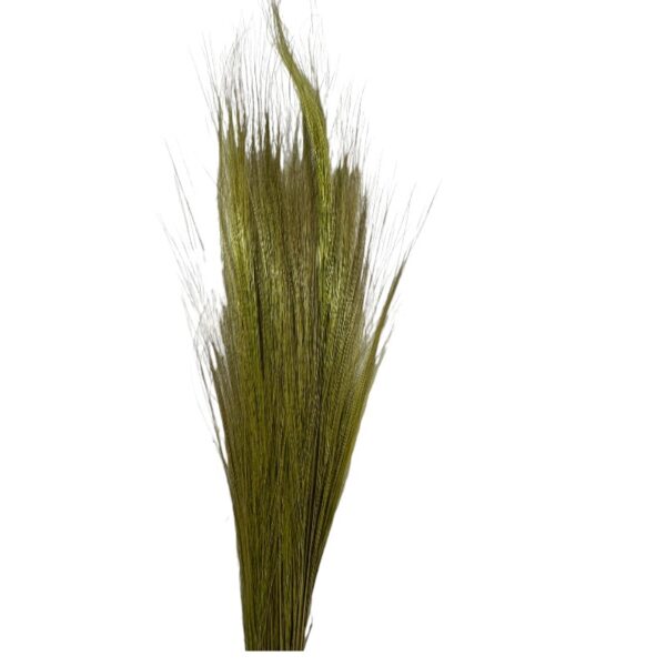 Dry green barba - Image 2