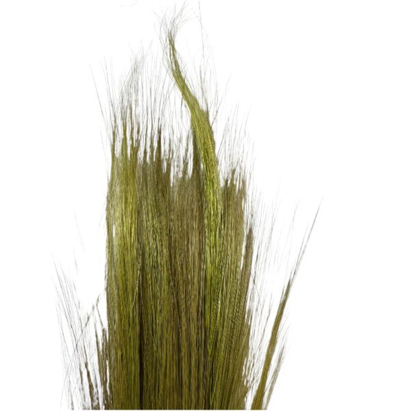 Dry green barba