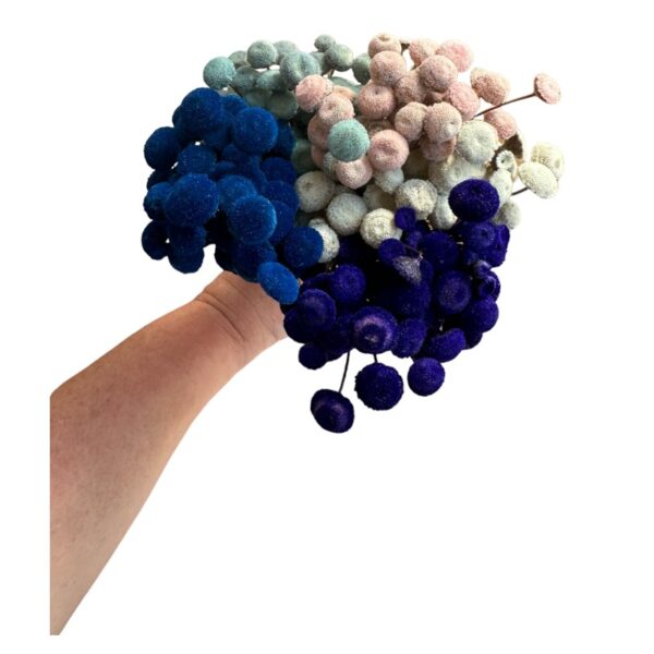 Dry mix color botao - Image 3