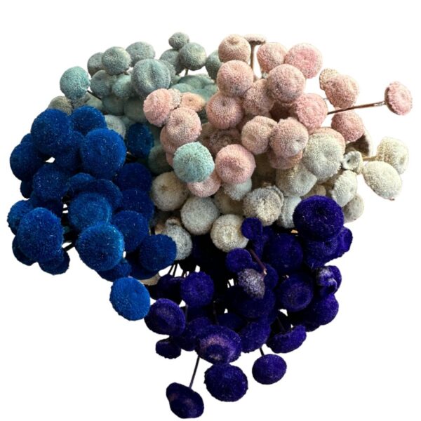 Dry mix color botao