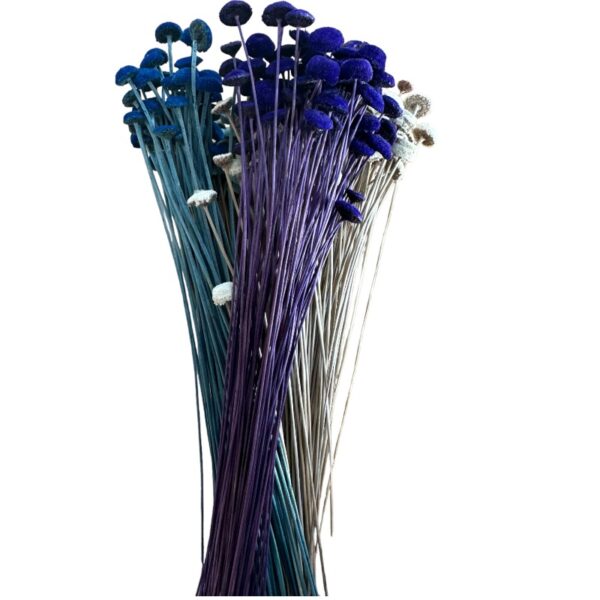 Dry mix color botao - Image 2