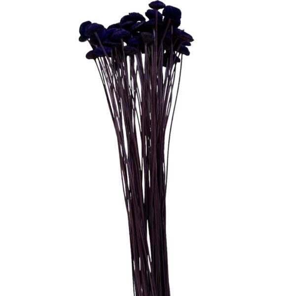 Dry purple botao - Image 2