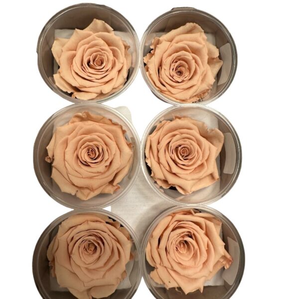 Preserved roses toffee - Image 3
