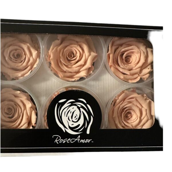 Preserved roses toffee - Image 2