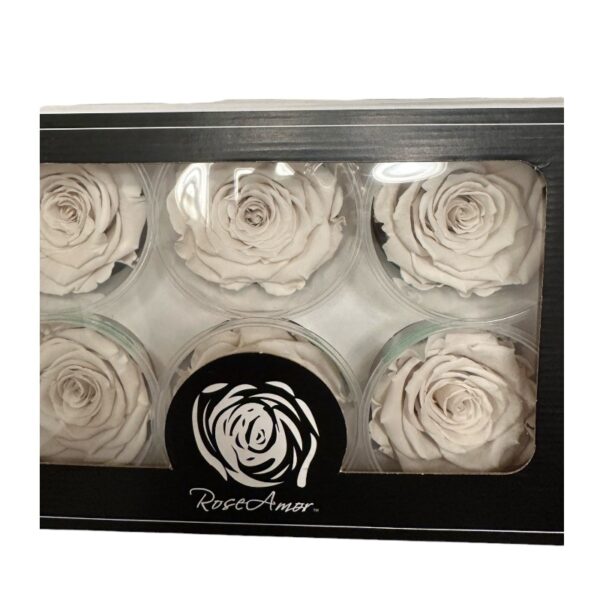 Preserved roses white - Image 2