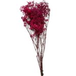 Preserved fuchsia Gypsophila - Image 2