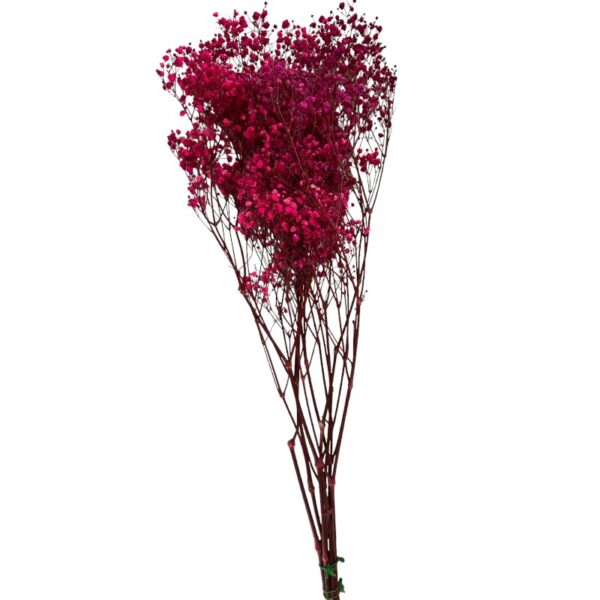 Preserved fuchsia Gypsophila - Image 2